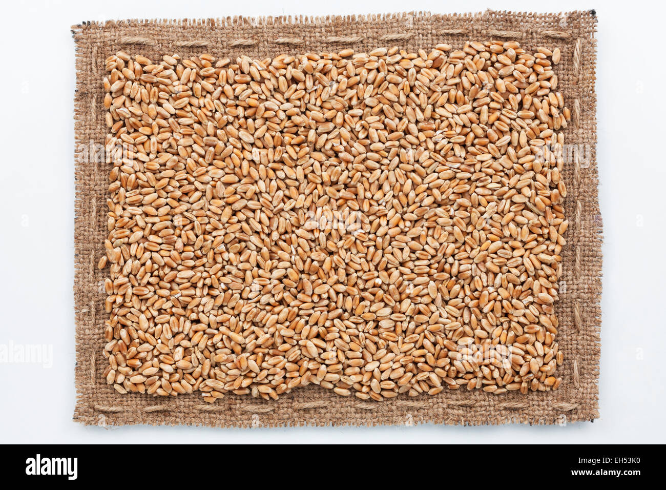 Rahmen aus Sackleinen und Weizen Korn, liegend auf einem weißen Hintergrund Stockfoto