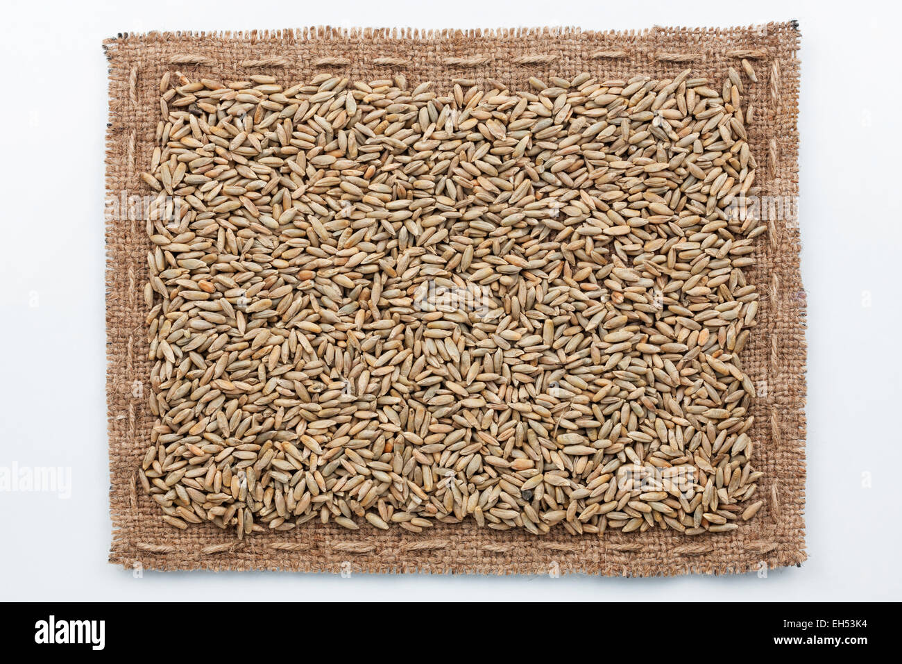 Rahmen aus Sackleinen und Roggen Korn, liegend auf einem weißen Hintergrund Stockfoto