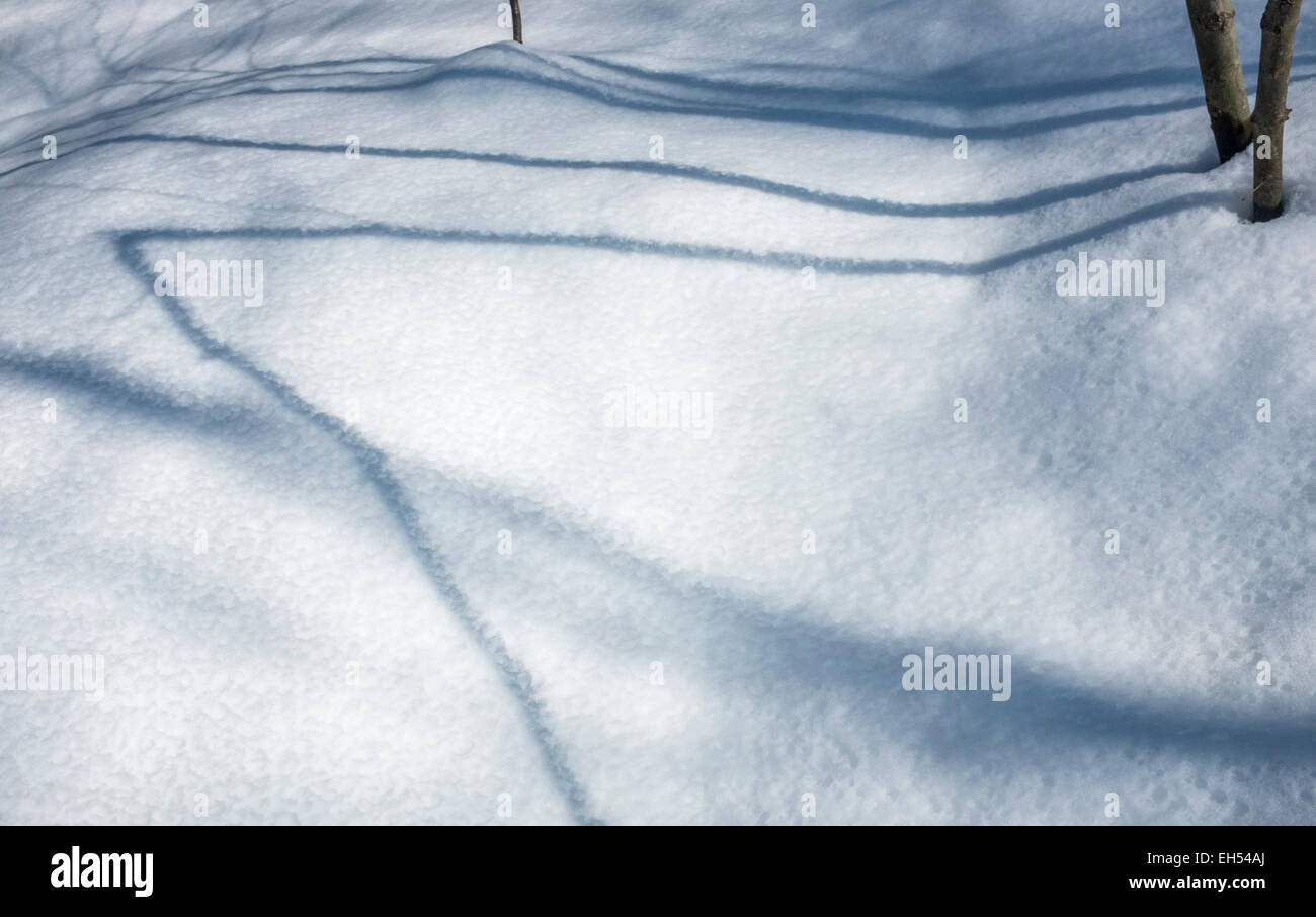 Kleine schatten Fotos und Bildmaterial in hoher Auflösung Alamy