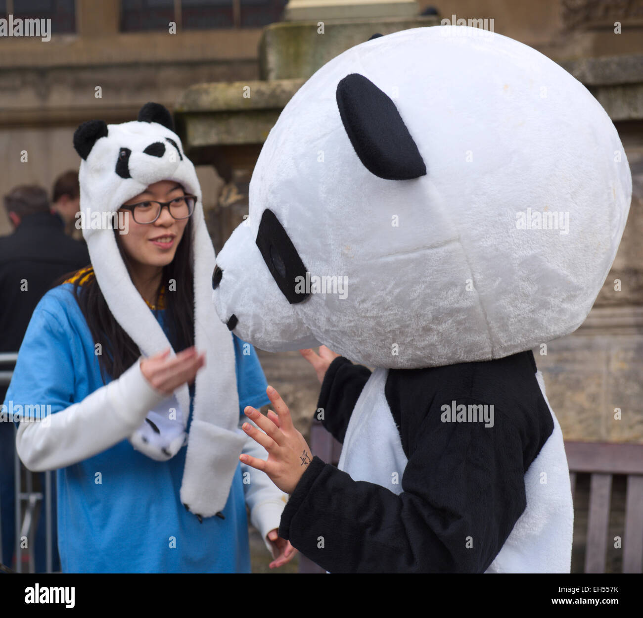 Zwei Frauen Panda Kostümen feiert das chinesische Neujahr, Bristol UK Stockfoto