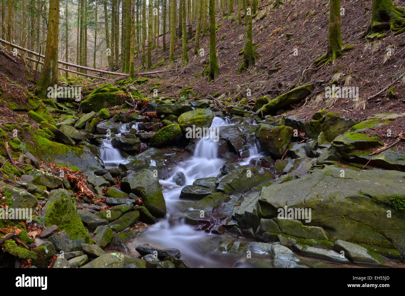 Ansicht des Stromes in einer Reihe von kleinen Wasserfällen Stockfoto