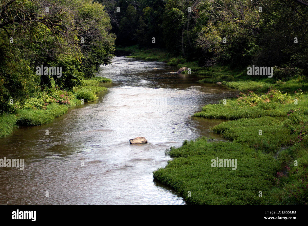 Cass River, Tuscola County, Michigan in Saginaw Bucht-Wasserscheide Stockfoto