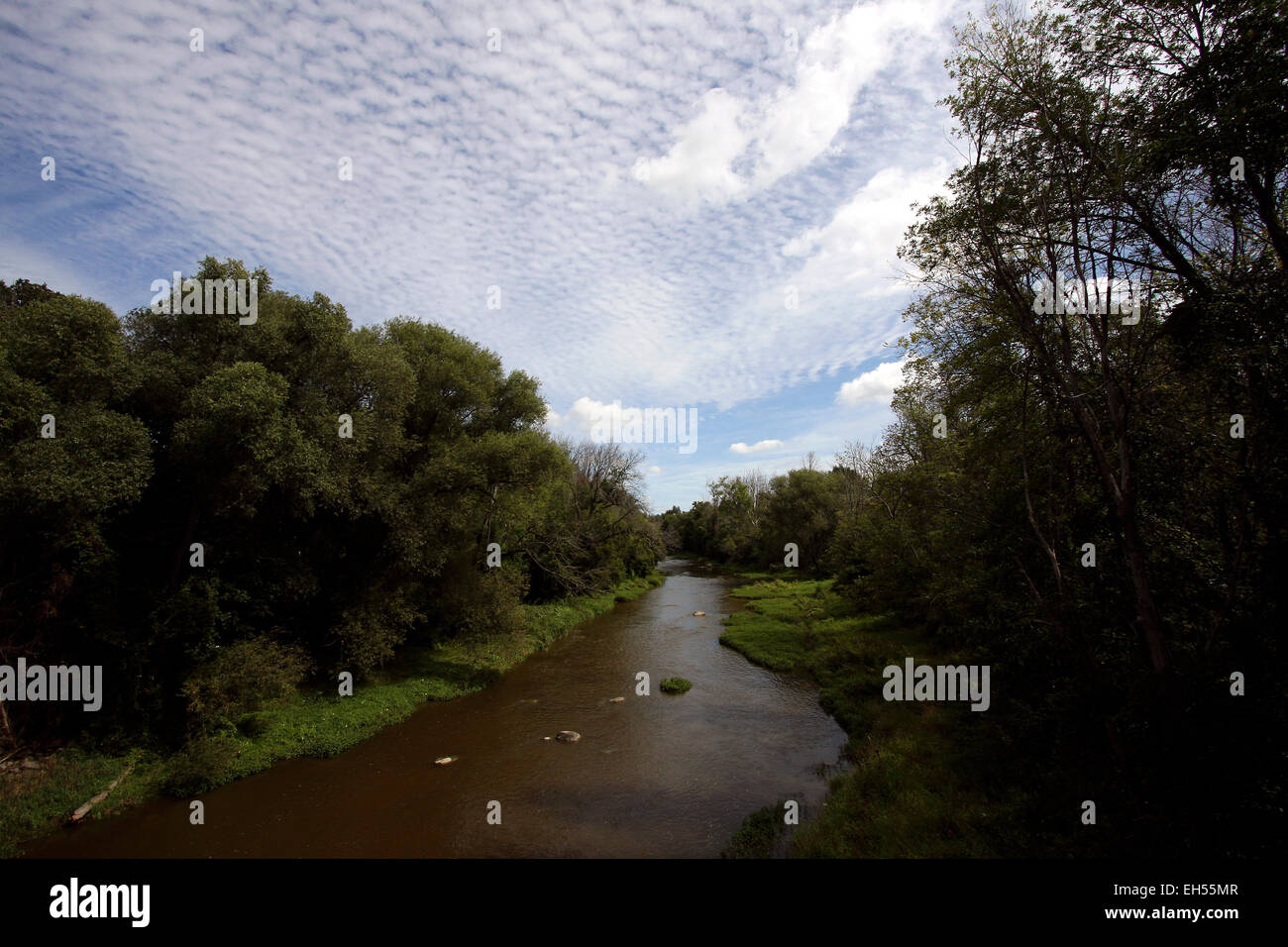 Cass River, Tuscola County, Michigan in Saginaw Bucht-Wasserscheide Stockfoto