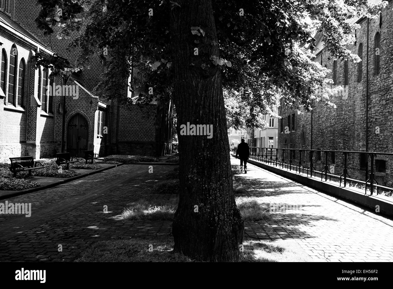 Straßenszene in Gent, Belgien. Schuss von einem Baum und Gehweg zwischen Gebäuden. Stockfoto