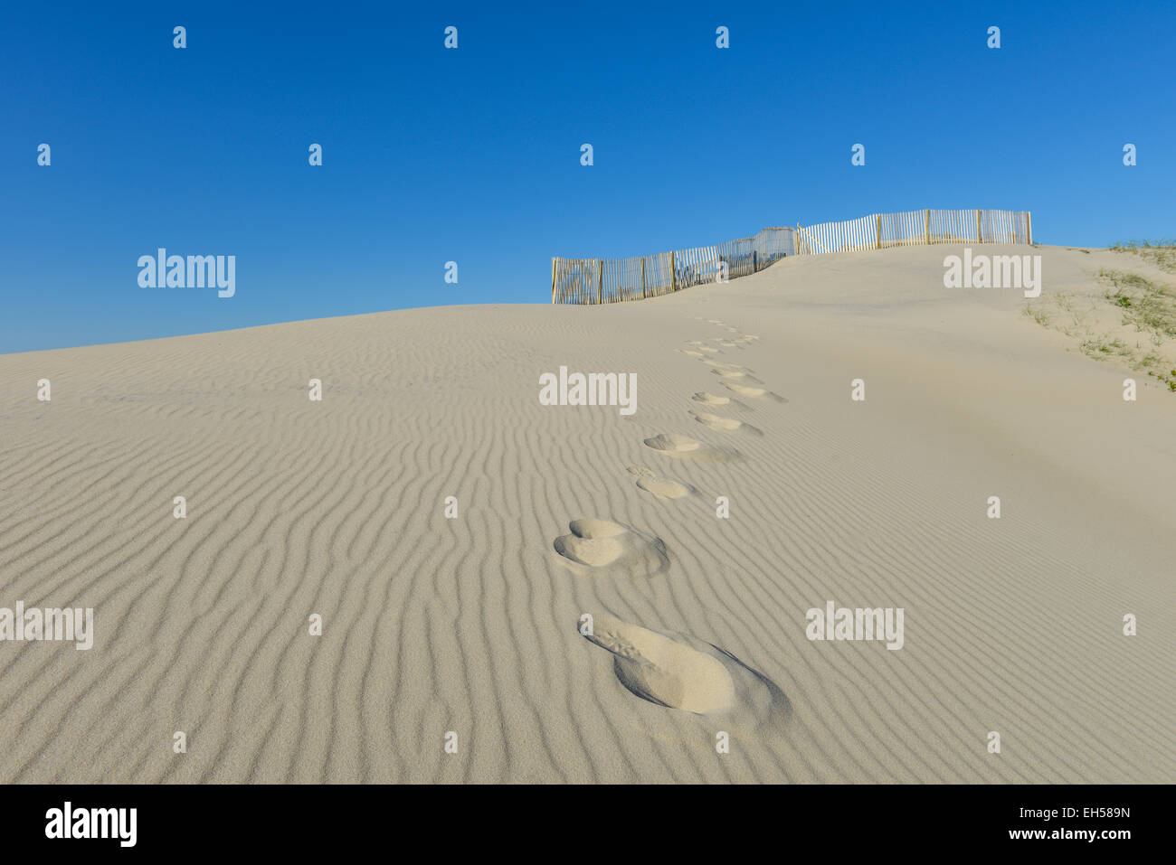 Schöne Sanddüne mit Fußweg und ziemlich Zaun Stockfoto