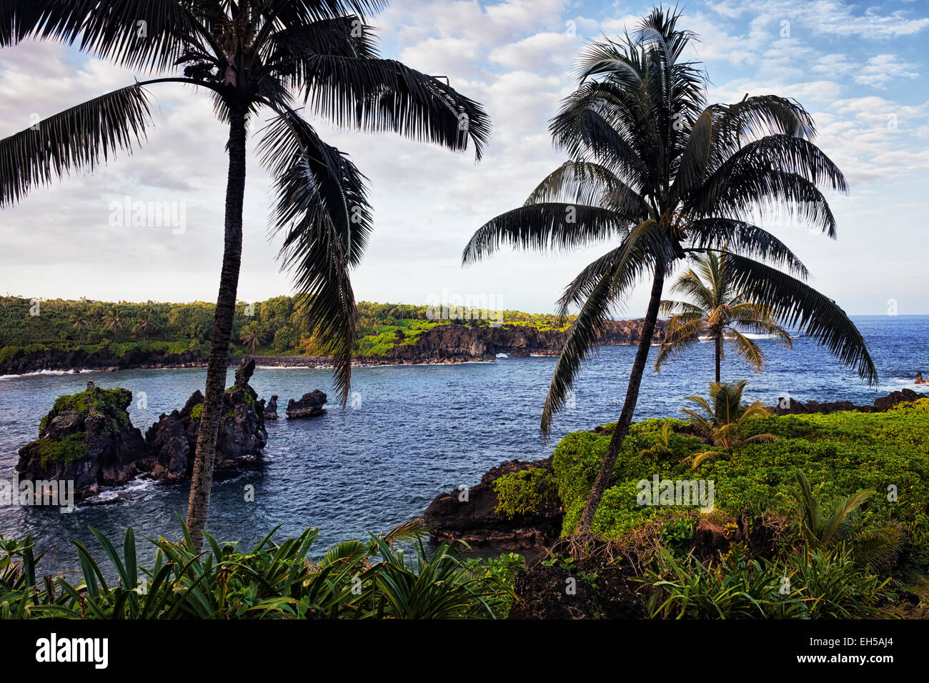 Die üppige tropische Kulisse im Wanananapna State Park entlang der Straße nach Hanna auf Hawaii Insel Maui. Stockfoto