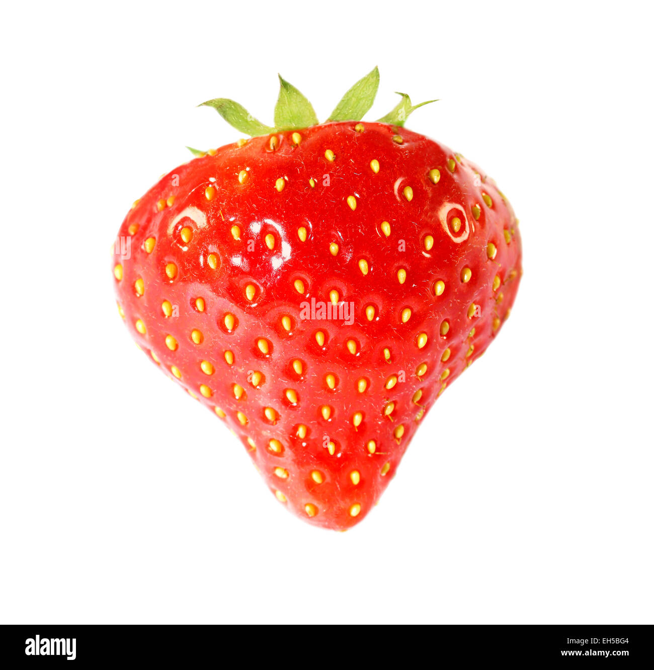 hellen lecker a Erdbeeren auf weißem Hintergrund Stockfoto