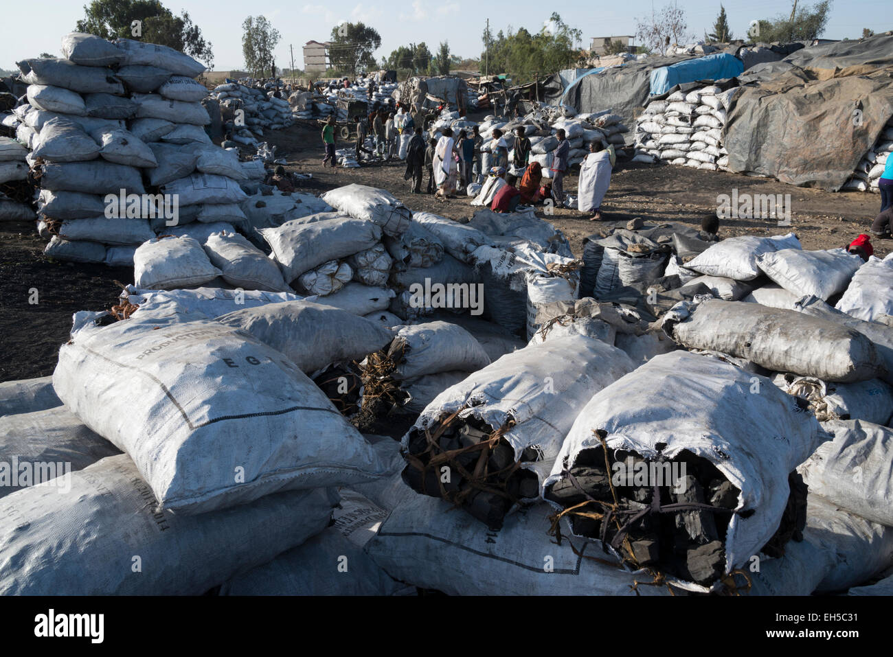 Holzkohle-Markt. Mekele. Nord-Äthiopien. Stockfoto