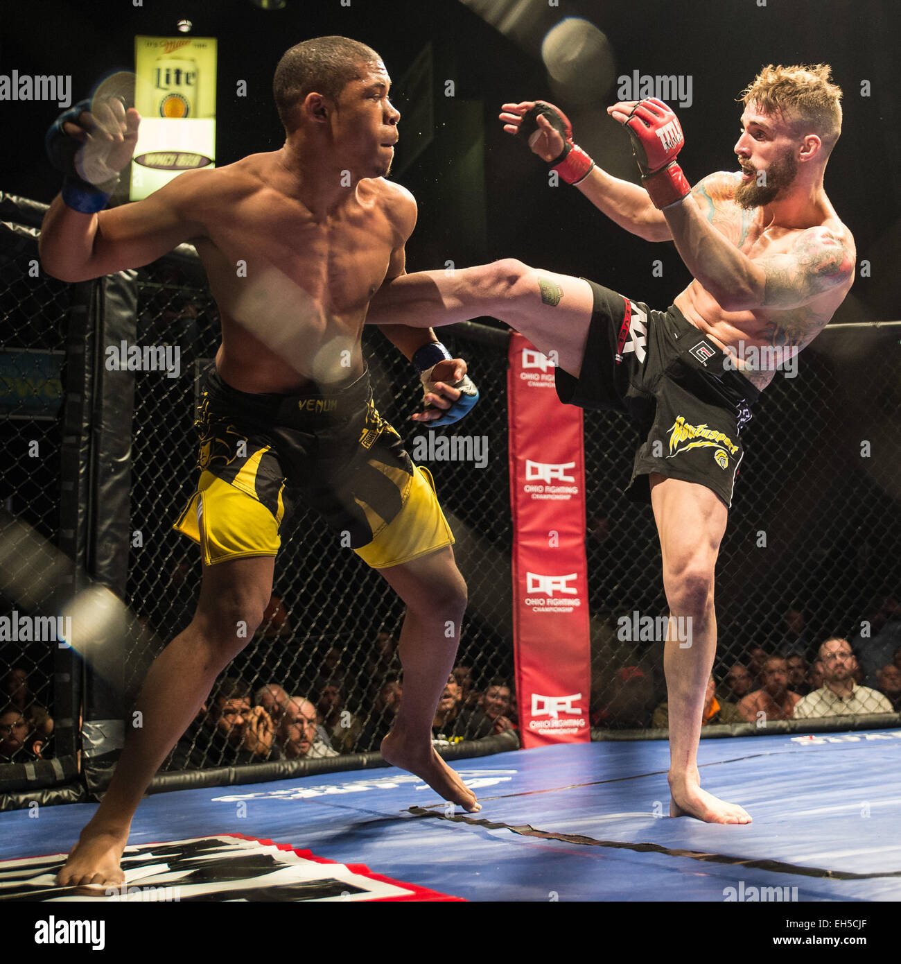 Columbus, Ohio, USA. 6. März 2015. Corey Meeks (rechts) tritt Chris Johnson (links) in ihrem MMA-Kampf bei Arnold Sports Festival. Bildnachweis: Brent Clark/Alamy Live-Nachrichten Stockfoto