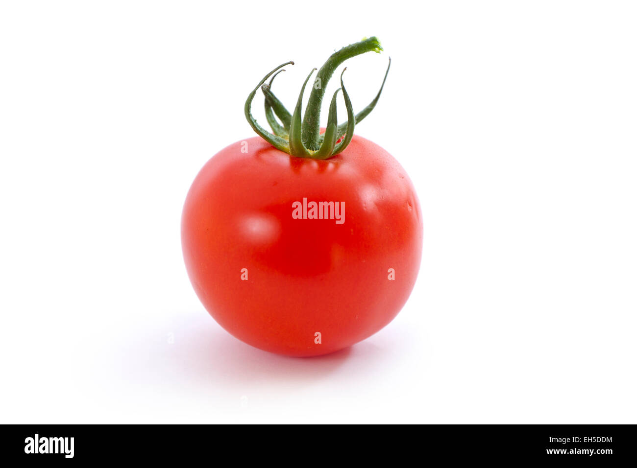 Seitenansicht einer frischen Bio-Tomate auf weißem Hintergrund. Stockfoto