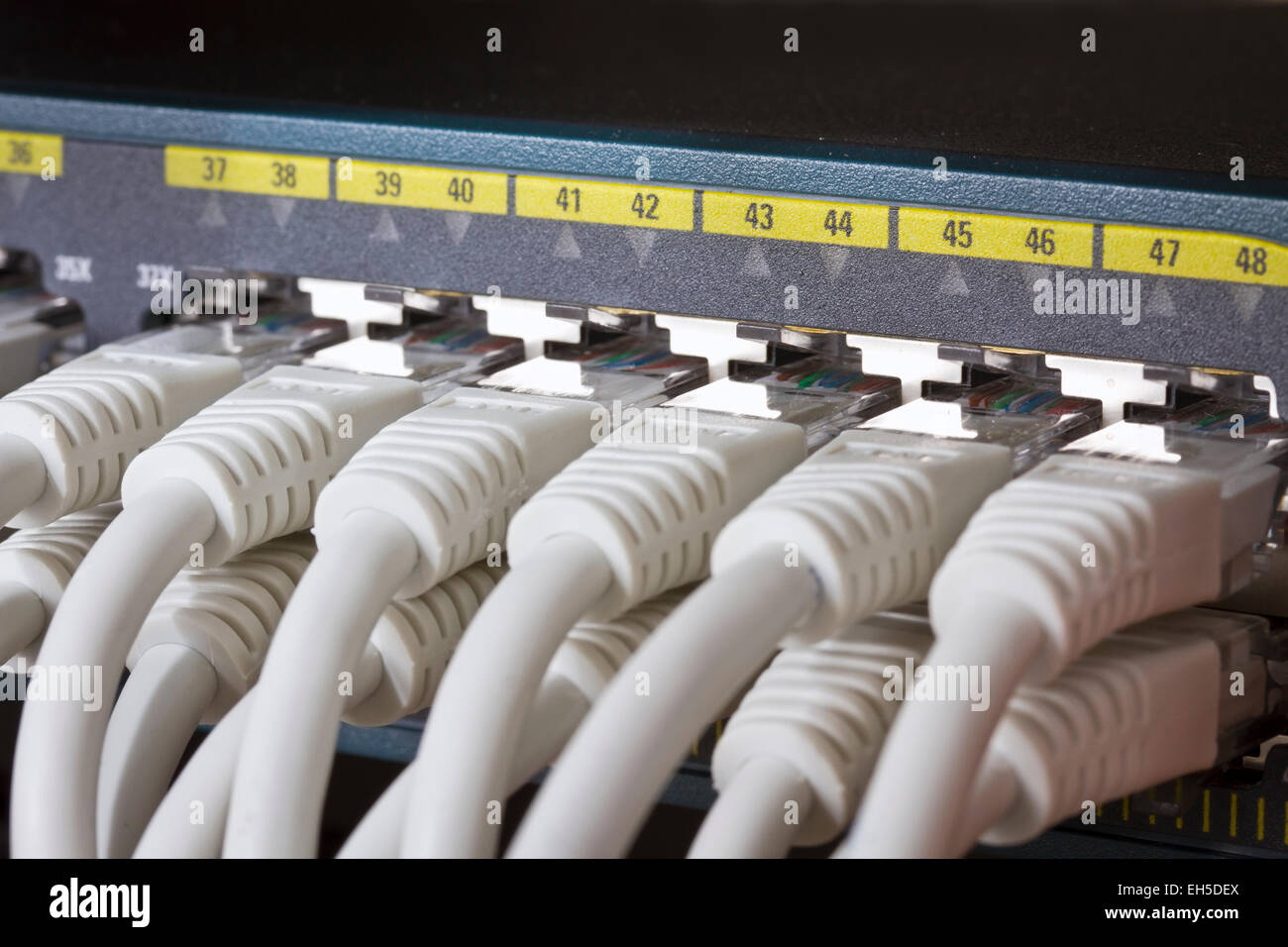 Nahaufnahme von einem Gigabit-Ethernet-Switch mit Cat 5 / 5e / 6 patch Kabel angeschlossen. Stockfoto