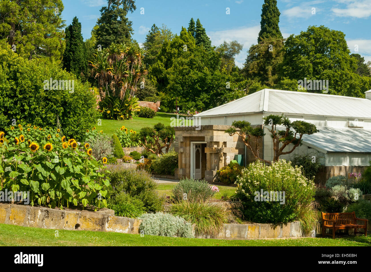 Tasmanian Botanical Gardens, Hobart, Tasmanien, Australien Stockfotografie Alamy