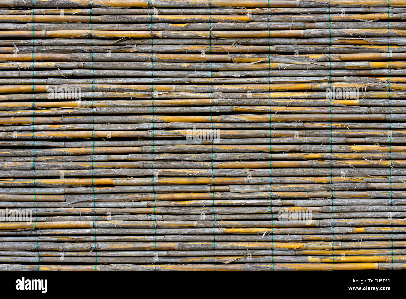 Reed-panel Stockfoto