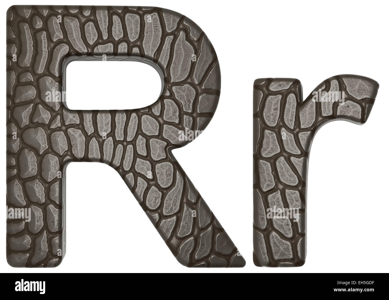 Alligator Haut Schriftart R Kleinbuchstaben und Großbuchstaben isoliert auf weiss Stockfoto