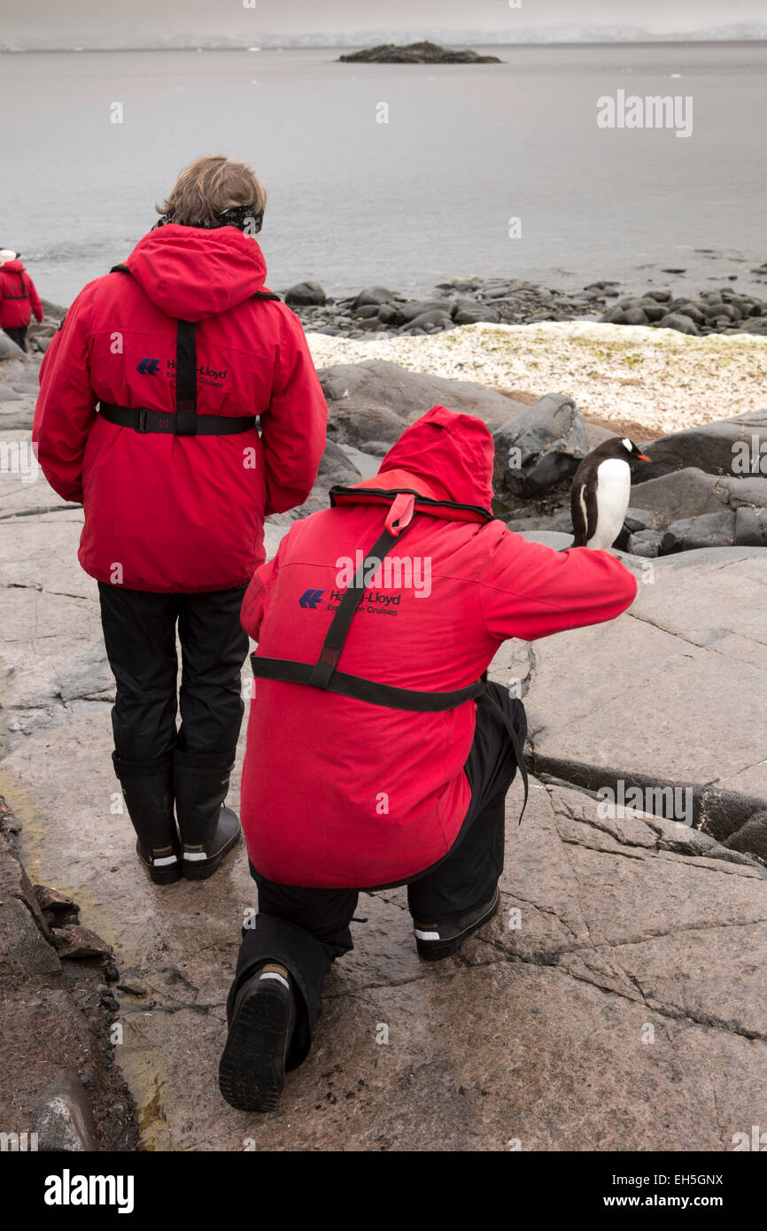 Antarktis, Port Lockroy britischen Basis, Kreuzfahrt Schiff Touristen fotografieren von Gentoo penguin Stockfoto