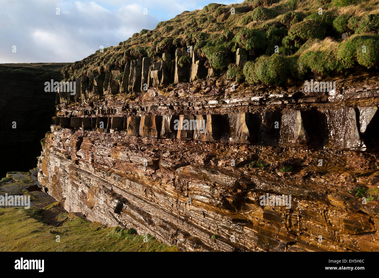 Gesteinsschichten am Duncansby Head, in der Nähe von John O' Groats, Caithness, Schottland, Vereinigtes Königreich Stockfoto