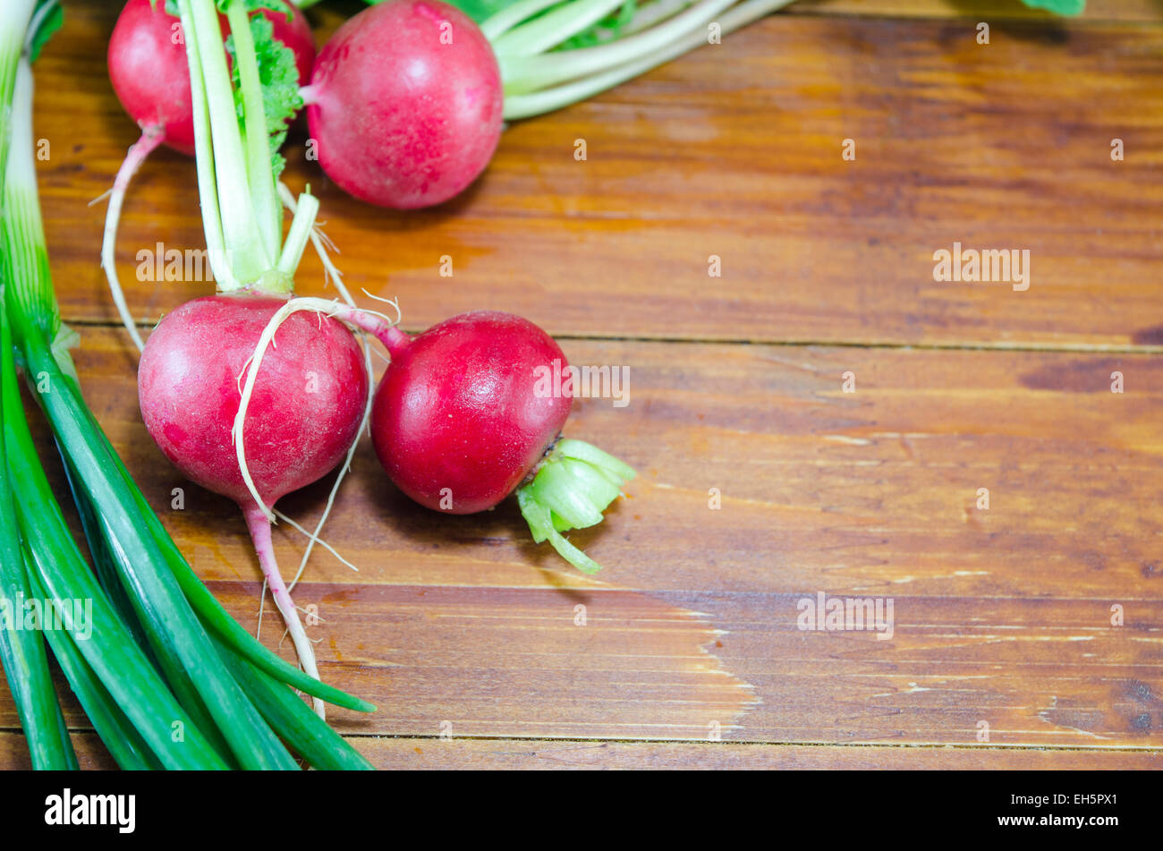 Frisch und feucht Radieschen auf einem Holztisch Stockfoto