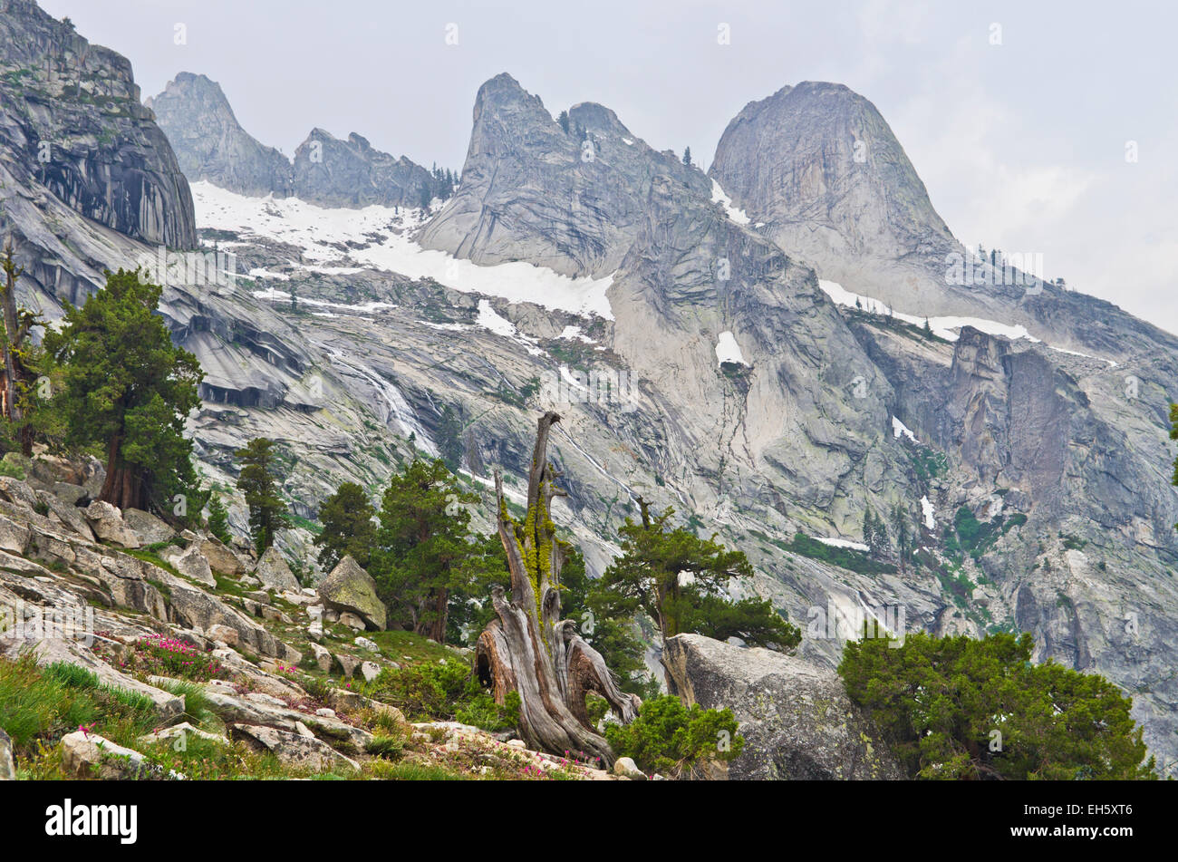 Blick entlang der High Sierra Trail, in der Nähe von Hamilton Lake Sequoia Nationalpark, Kalifornien, USA. Stockfoto