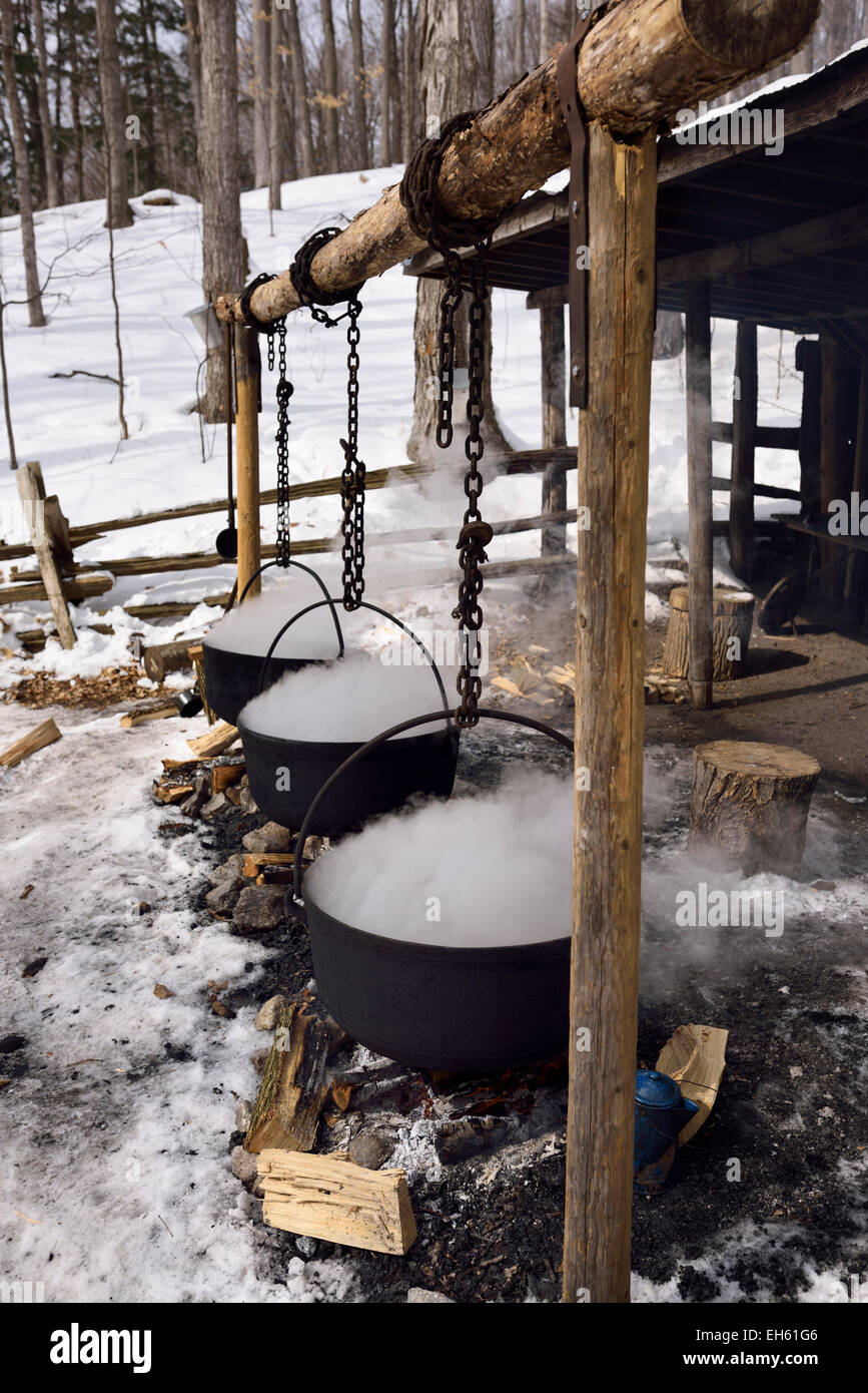 Drei aus Gusseisen Verdampfer Töpfe im freien gedeckt über offenen Feuer, Ahornsirup in eine Zuckerhütte im Schnee zu produzieren Wald Ontario Kanada Stockfoto