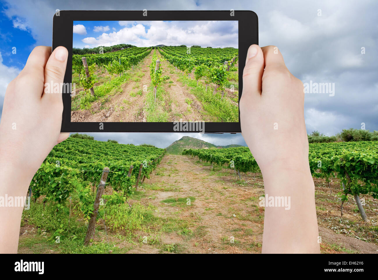 Reisen Sie Konzept - Touristen nehmen Foto von Weinberg unter Wolken in Weinregion Ätna, Sizilien auf mobile Gadget, Italien Stockfoto