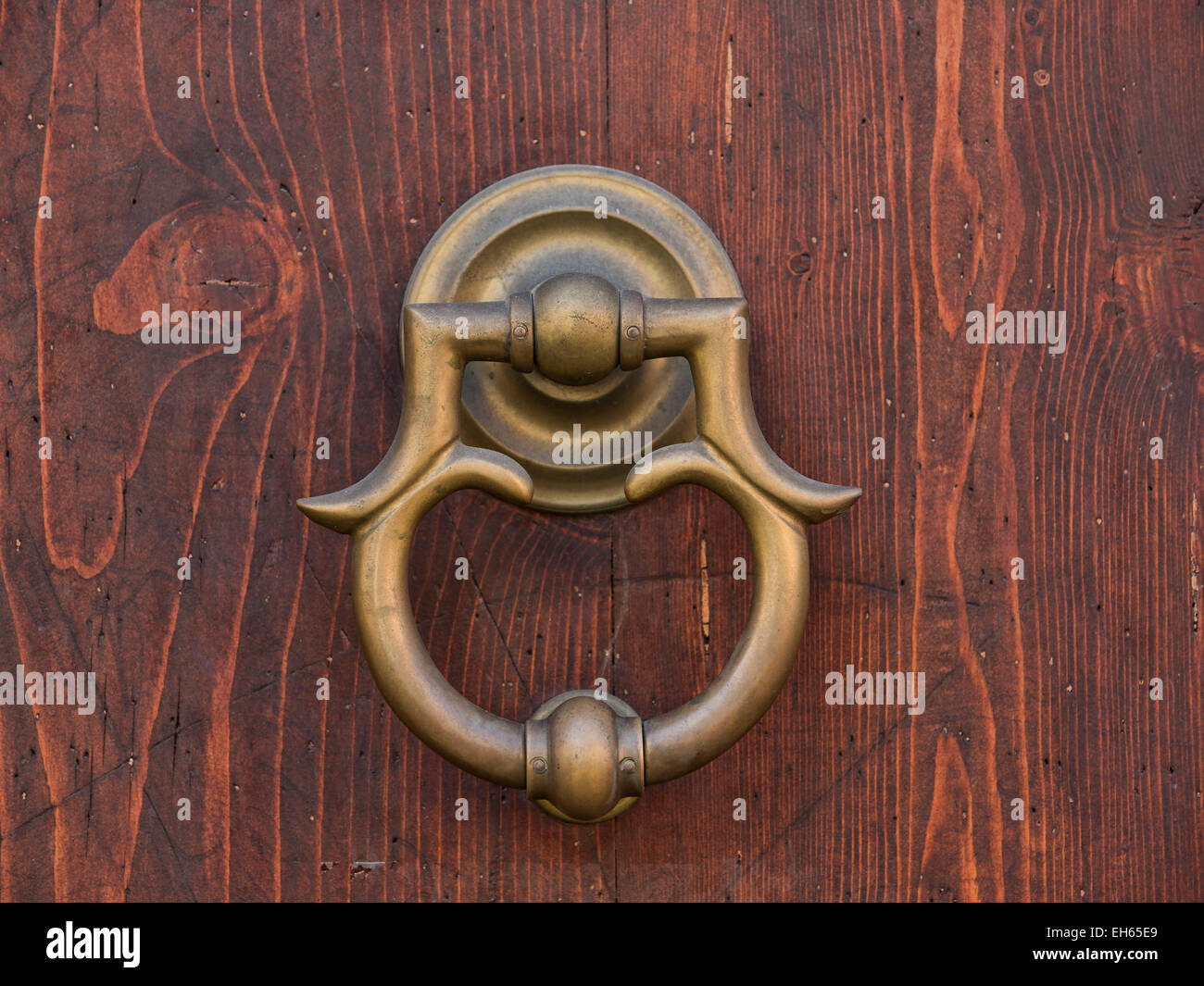 Pisa, Italien, Messing Klopfer Holztür Stockfoto
