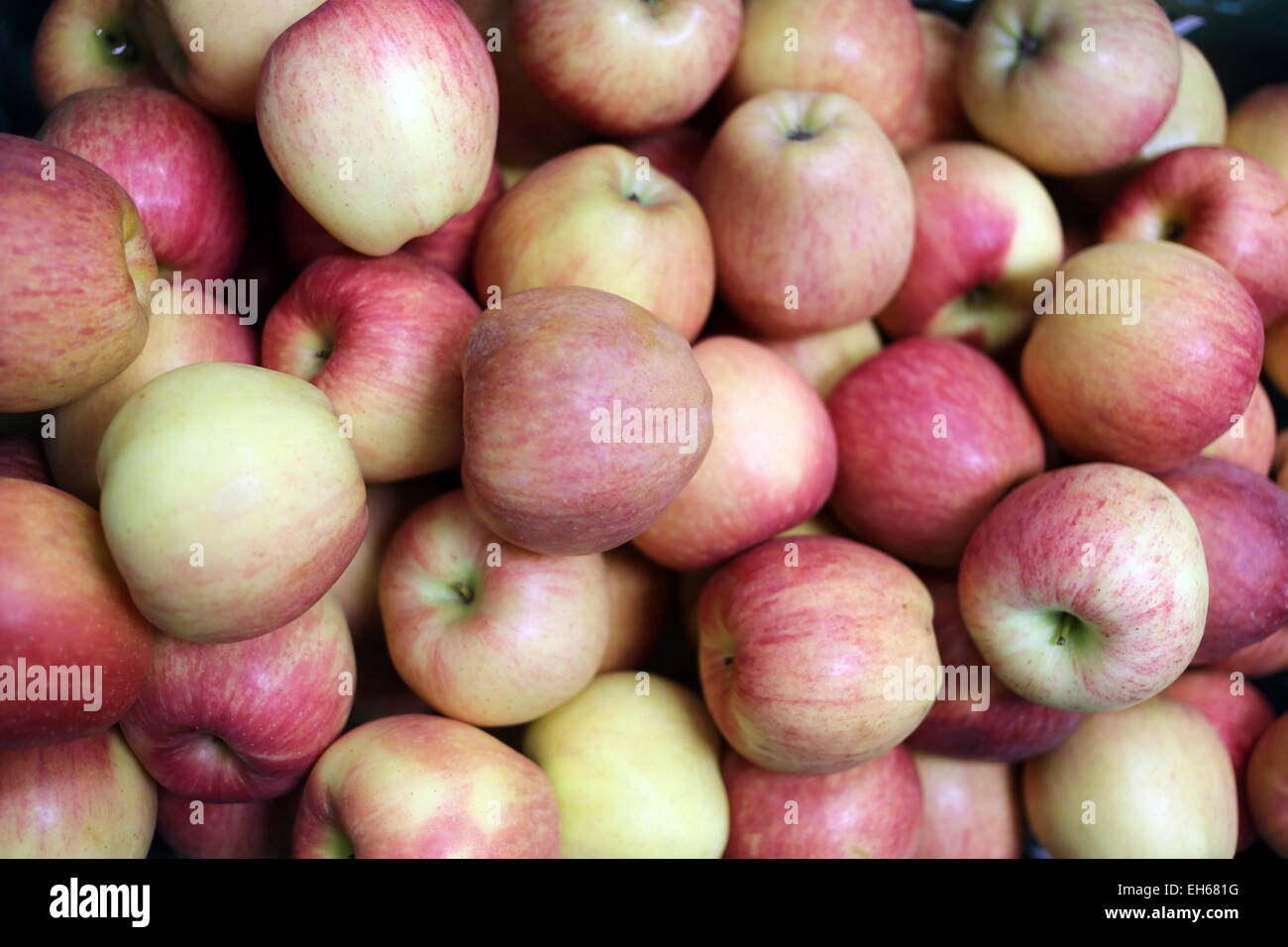 Fokus auf Haufen roter Apfel Obst ist gesunde Ernährung. Stockfoto