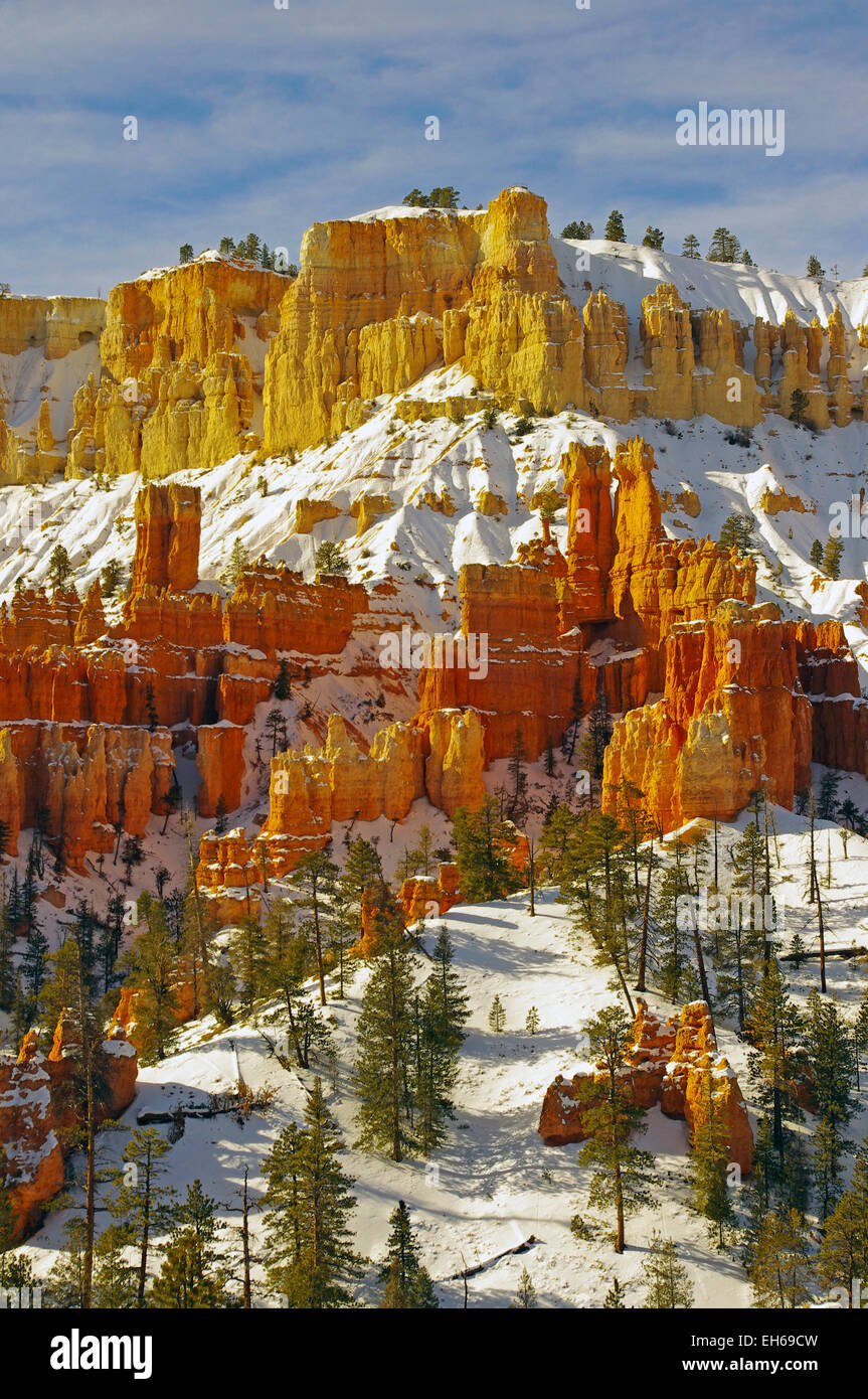 Bryce Canyon Nationalpark im Winter mit Schnee rund um die Hoodoos, Utah, Vereinigte Staaten. Stockfoto