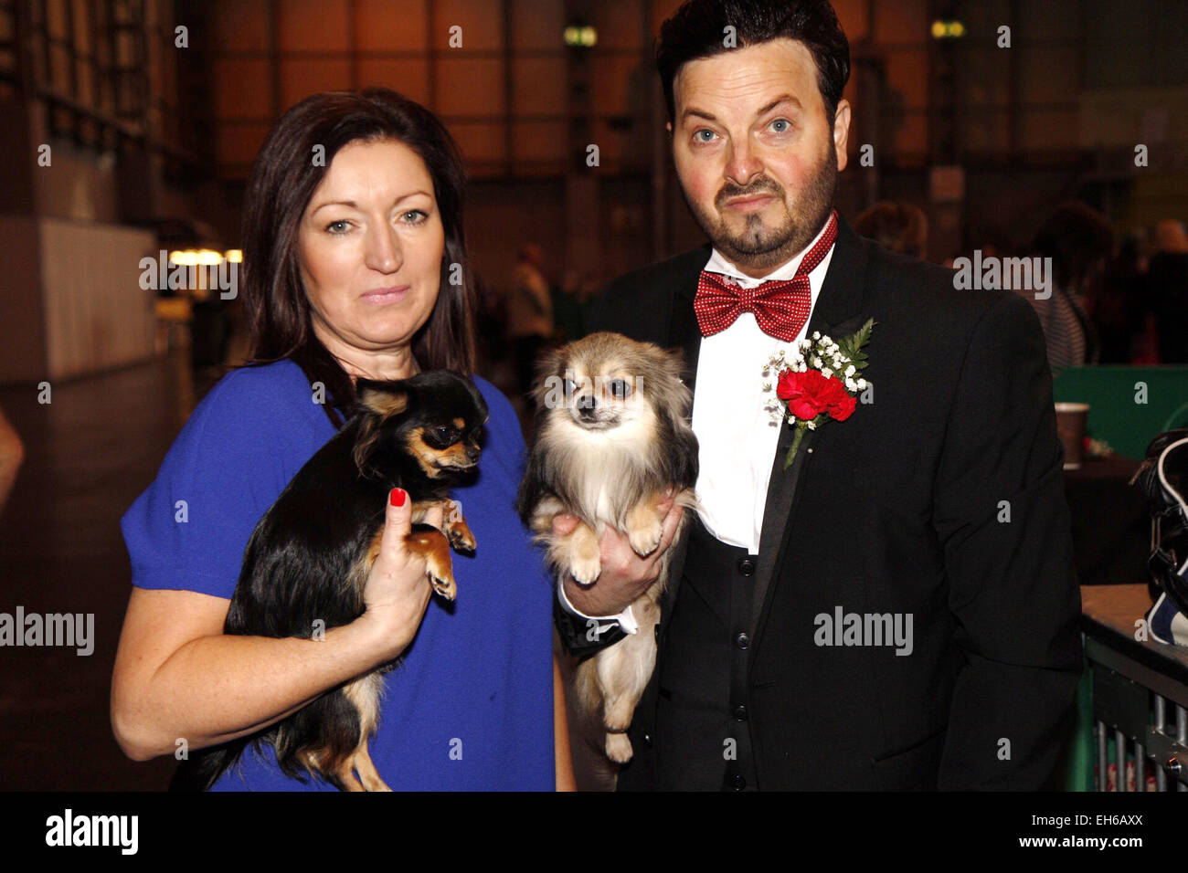 Birmingham, Vereinigtes Königreich. 8. März 2015. Ein paar Kleid zu beeindrucken mit ihren langen Haaren Chihuahuas Agead zeigen am letzten Tag der Crufts in Birmingham, UK. Bildnachweis: Jon Freeman/Alamy Live-Nachrichten Stockfoto