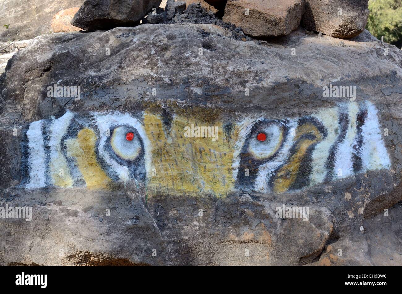 Gemälde von einem Tiger-Augen auf einem Felsen Panna Nationalpark Chhatarpur Madhya Pradesh Indien Stockfoto