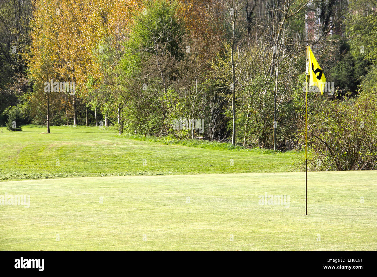 Golf-Flag auf Feld Stockfoto