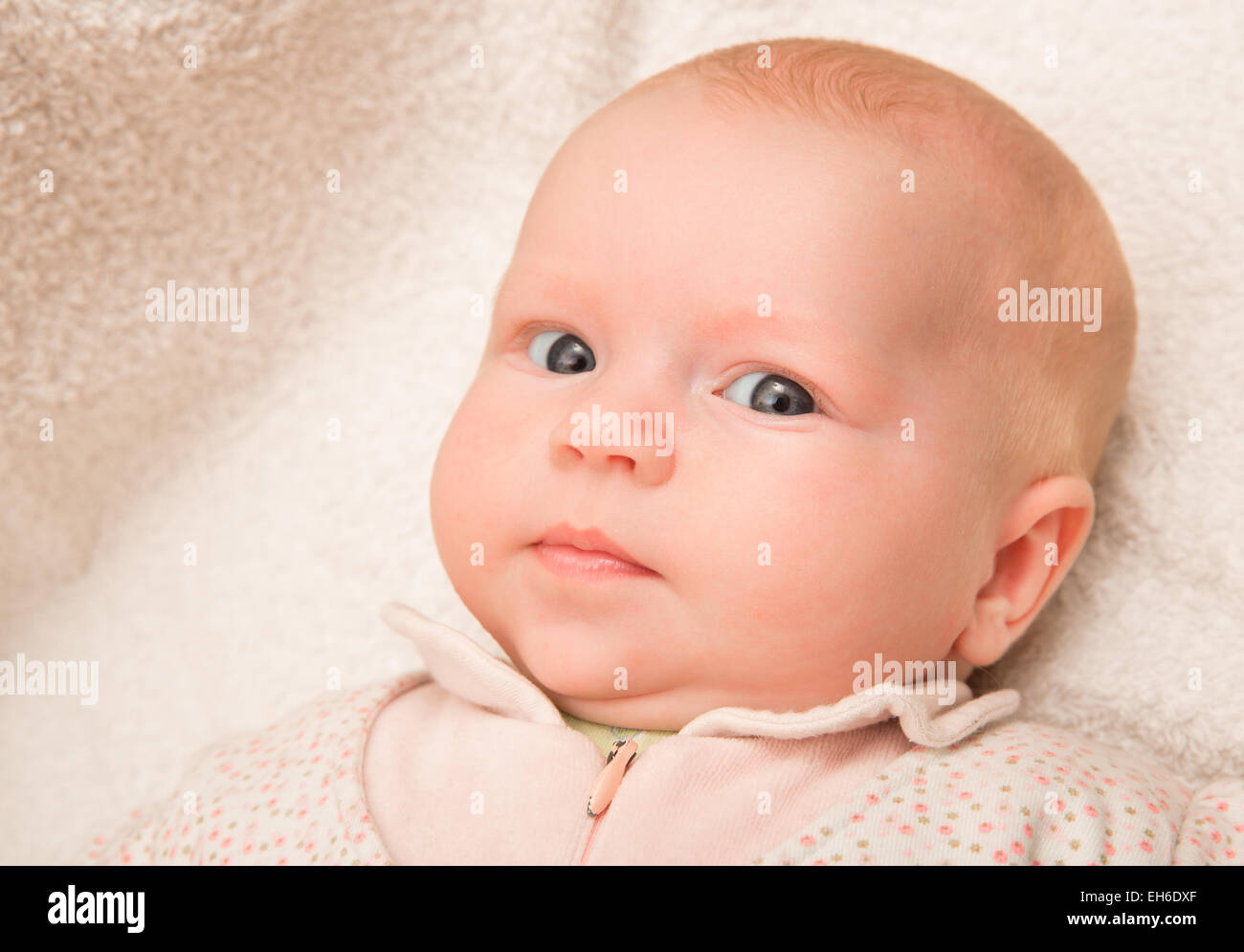 Zwei - Monate altes Babymädchen auf einem hellen Hintergrund Stockfoto
