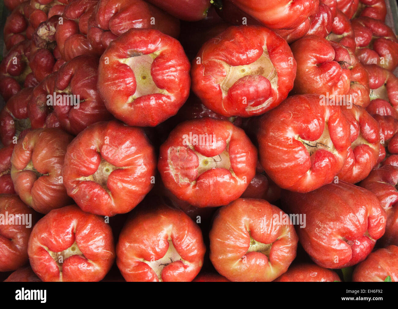 Viele rote Java Äpfel auf einem Markt in Ho-Chi-Minh-Stadt in Vietnam Stockfoto