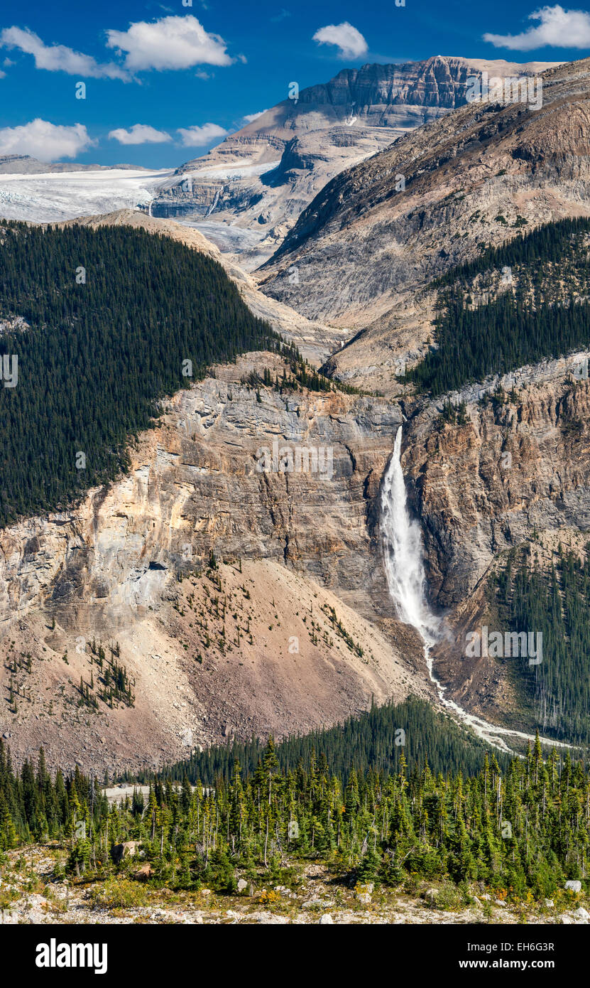 Gespeisten unterschritten werden Icefield von Iceline Trail, kanadischen Rocky Mountains, Yoho Nationalpark, Britisch-Kolumbien, Kanada Stockfoto