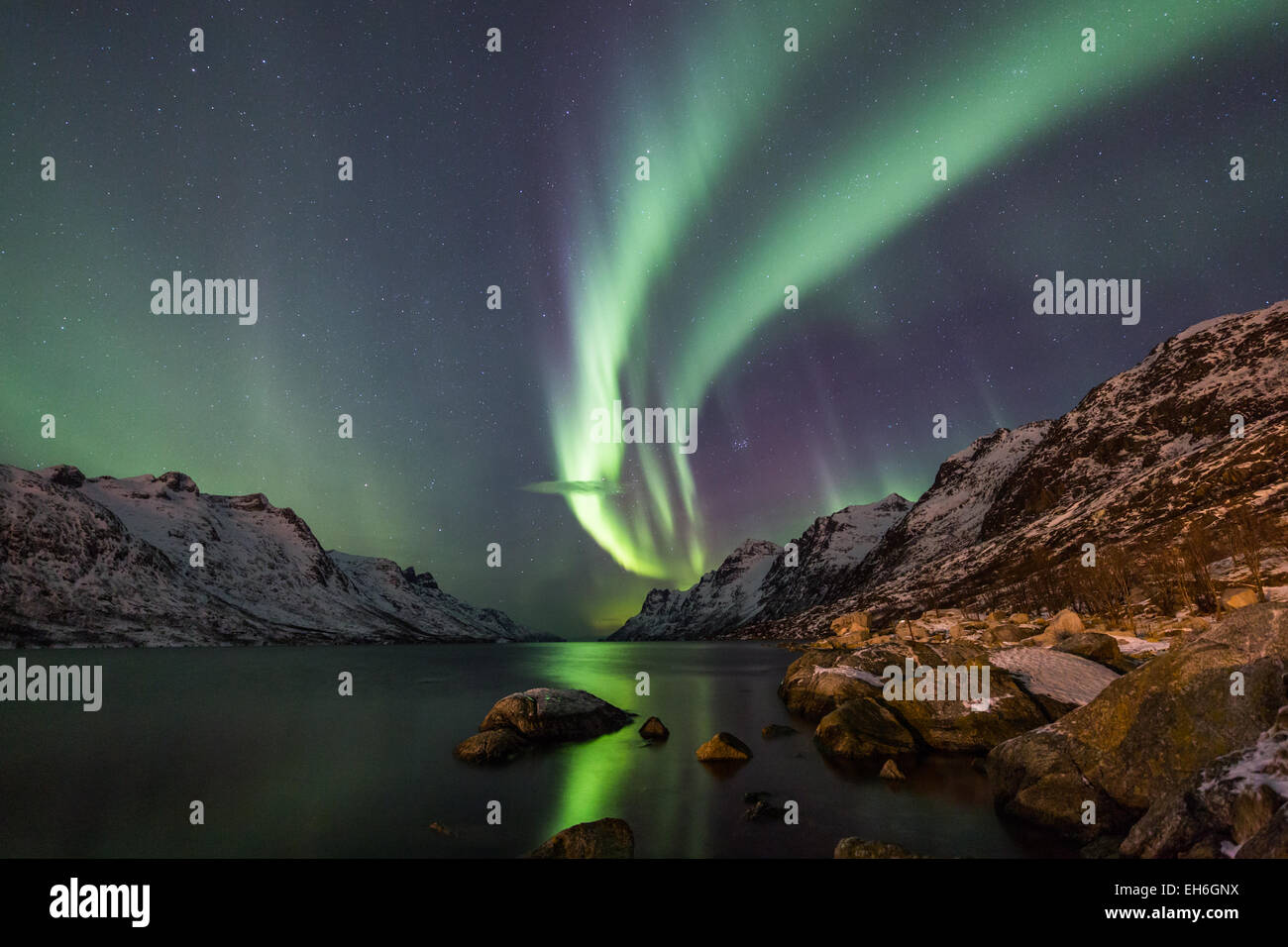 Nordlichter (Aurora Borealis) über eine Winterszene Stockfoto