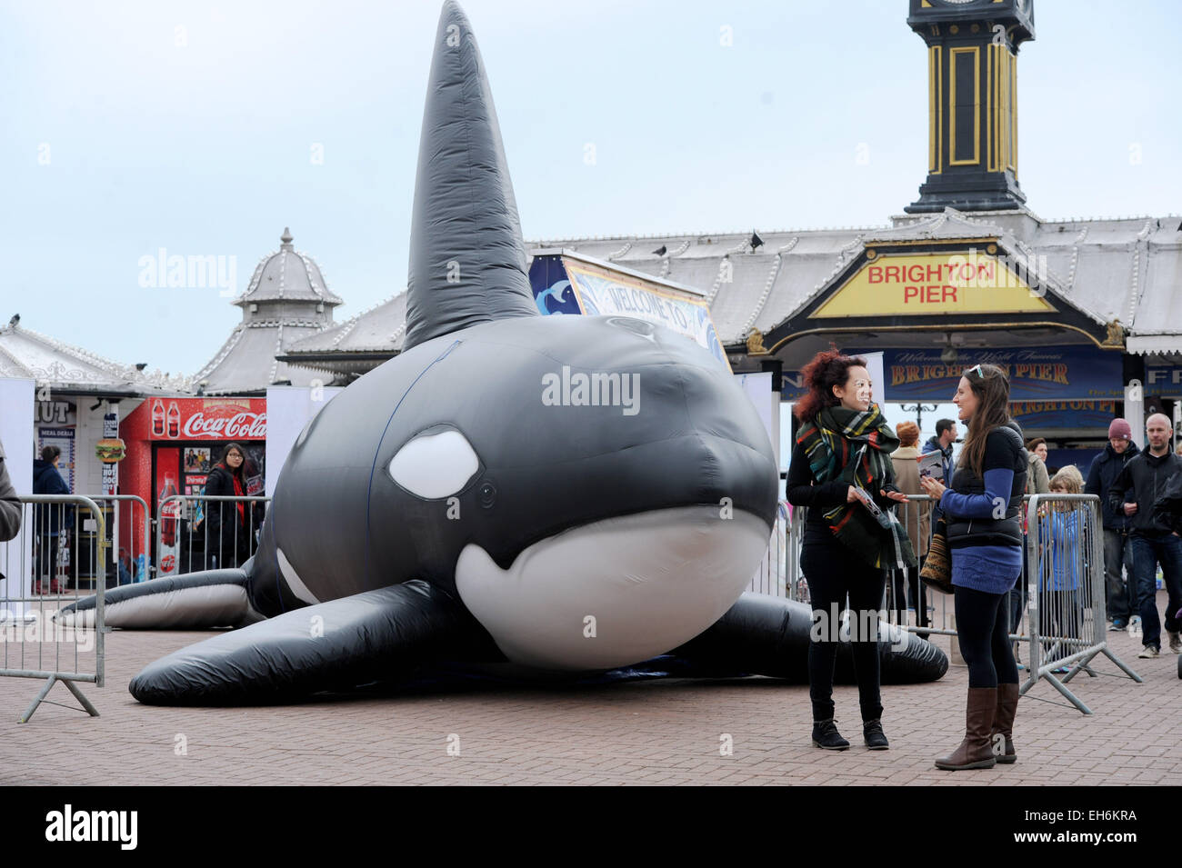 Brighton, UK. 8. März 2015. Ein aufblasbarer Wal verursacht Interesse von Brighton Pier heute die ist Teil des diesjährigen WhaleFest und diese Woche findet in Brighton statt und ist die weltweit größte Wal und Delphin Festival Credit: Simon Dack/Alamy Live News Stockfoto