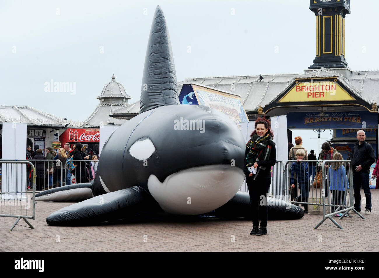 Brighton, UK. 8. März 2015. Ein aufblasbarer Wal verursacht Interesse von Brighton Pier heute die ist Teil des diesjährigen WhaleFest und diese Woche findet in Brighton statt und ist die weltweit größte Wal und Delphin Festival Credit: Simon Dack/Alamy Live News Stockfoto