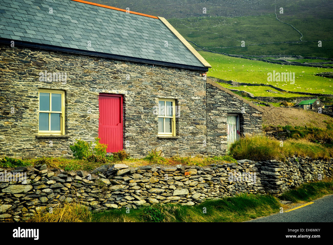 Steinhaus und Schafe auf der Weide mit Steinmauern am Slea Head Drive. Dingle Halbinsel, Irland. Stockfoto