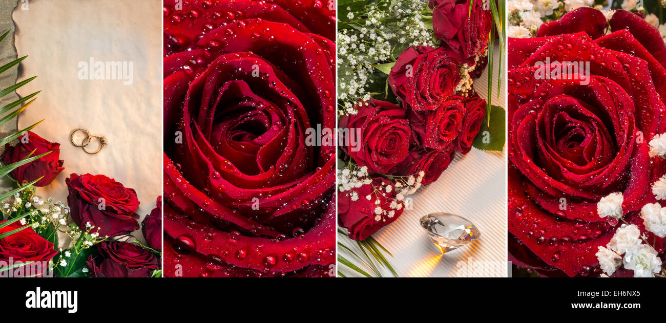 Rote Rosen - Valentinstag Stockfoto