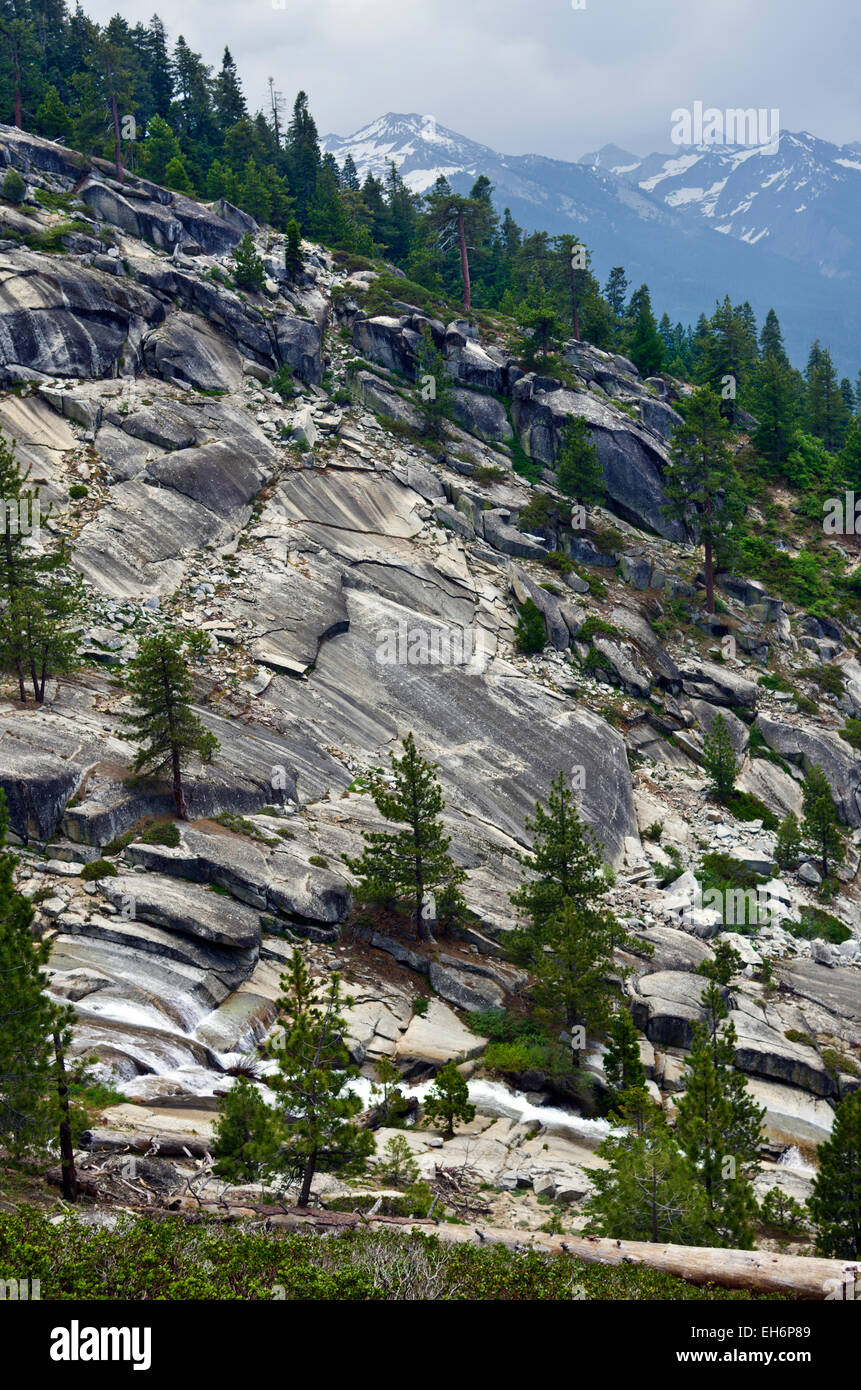 High Sierra Trail zwischen Bearpaw Wiese und sichelförmige Wiese, Sequoia National Park, Kalifornien. Stockfoto