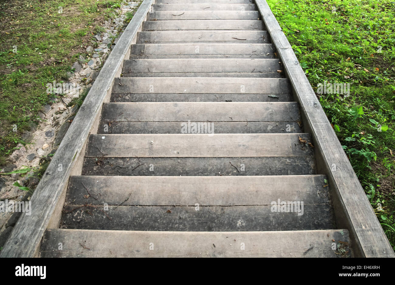 Alte Holztreppe gehen mit grünen Rasen auf Seiten Stockfoto
