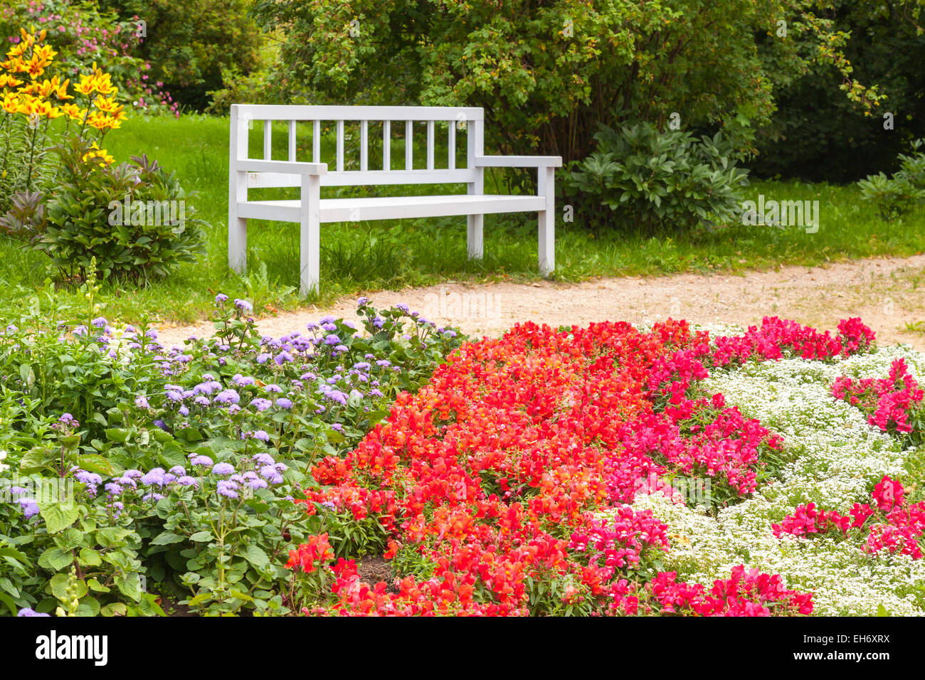 Bunte Blumen auf dem Blumenbeet im Sommerpark. Weiße Holzbank auf dem Hintergrund. Selektiven Fokus. Trigorskoye Dorf, Ru Stockfoto