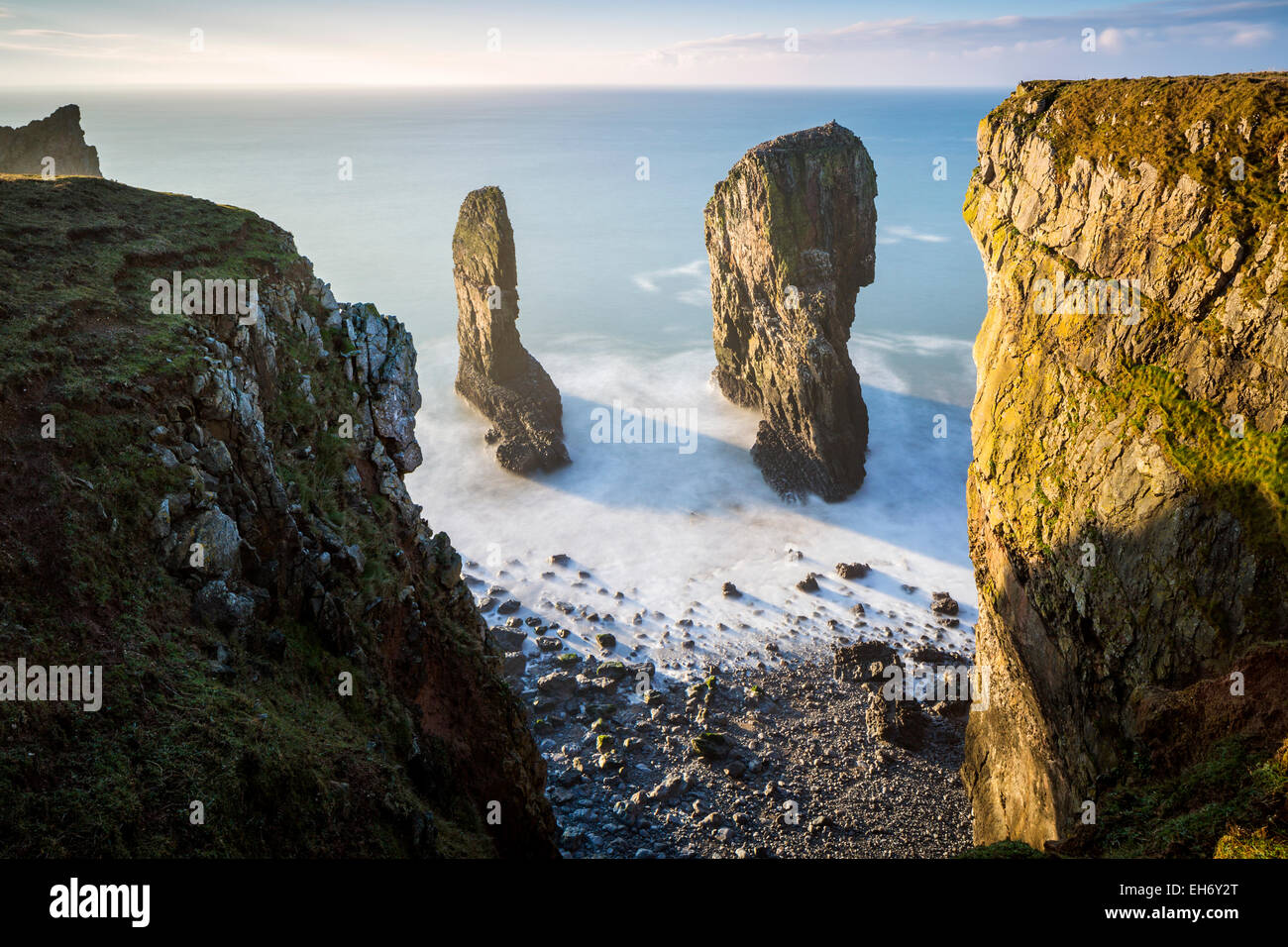 Elegug Stack, Pembrokeshire Coast National Park, Merrion, Pembrokeshire, Wales, Vereinigtes Königreich, Europa. Stockfoto