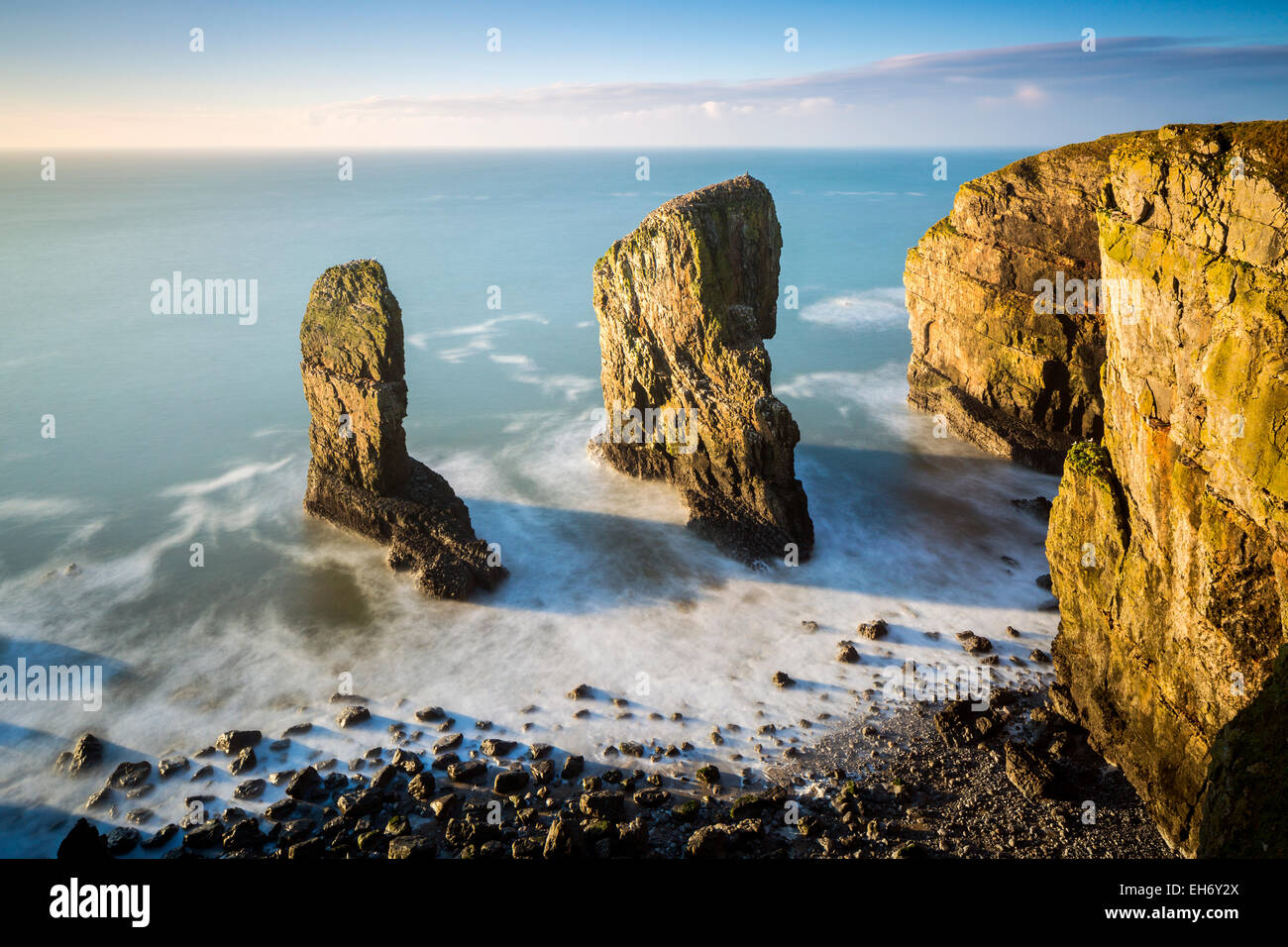 Elegug Stack, Pembrokeshire Coast National Park, Merrion, Pembrokeshire, Wales, Vereinigtes Königreich, Europa. Stockfoto