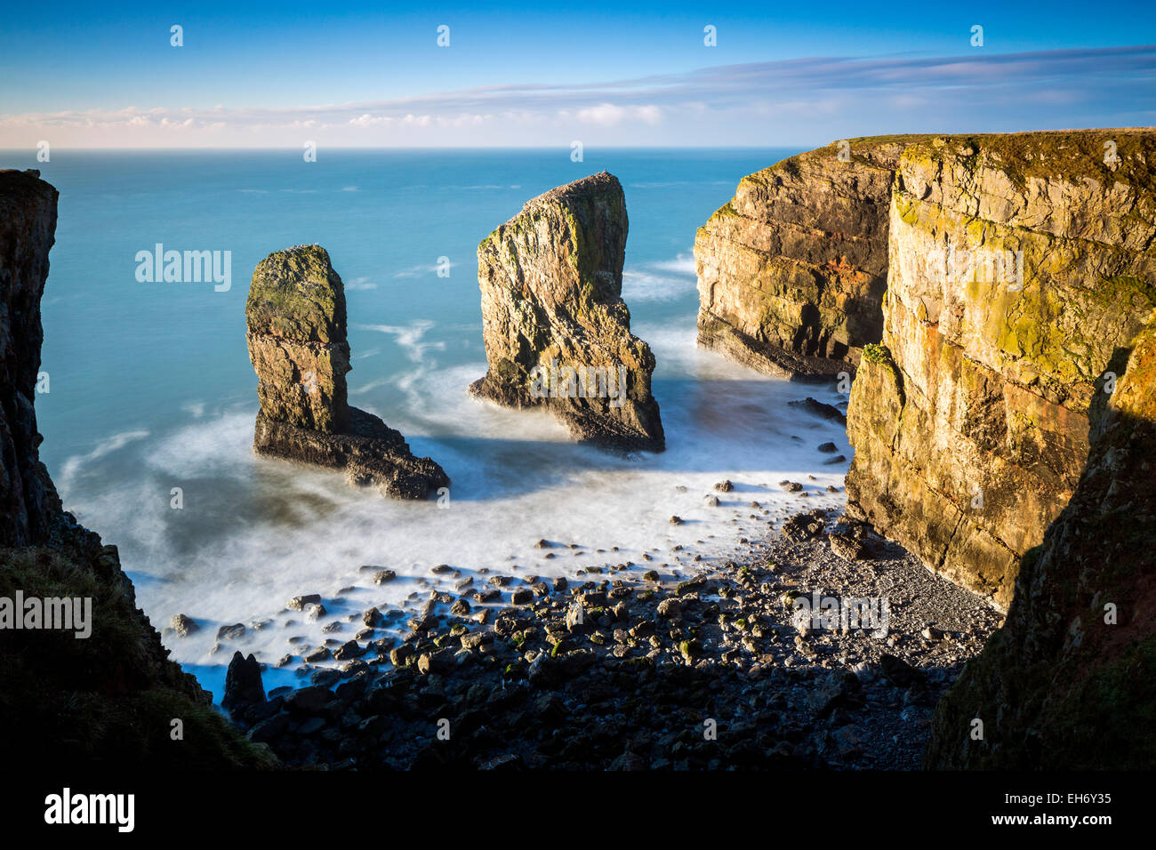 Elegug Stack, Pembrokeshire Coast National Park, Merrion, Pembrokeshire, Wales, Vereinigtes Königreich, Europa. Stockfoto