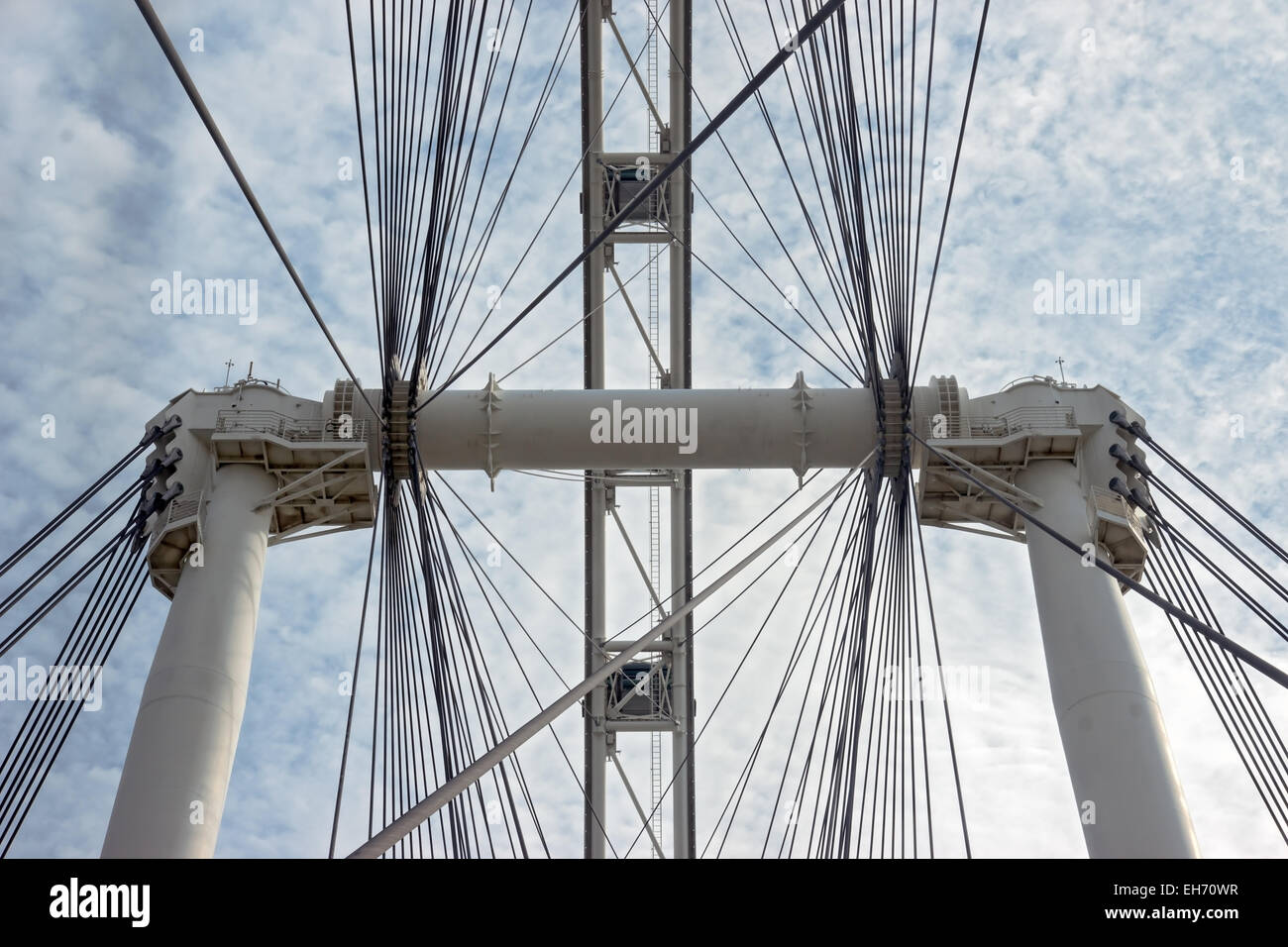 Singapore Flyer Stockfoto