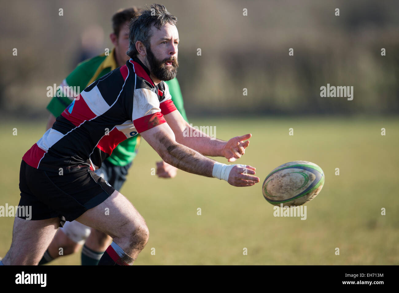 Rugby-Scrum halb in Aktion - Dorset - England. Stockfoto