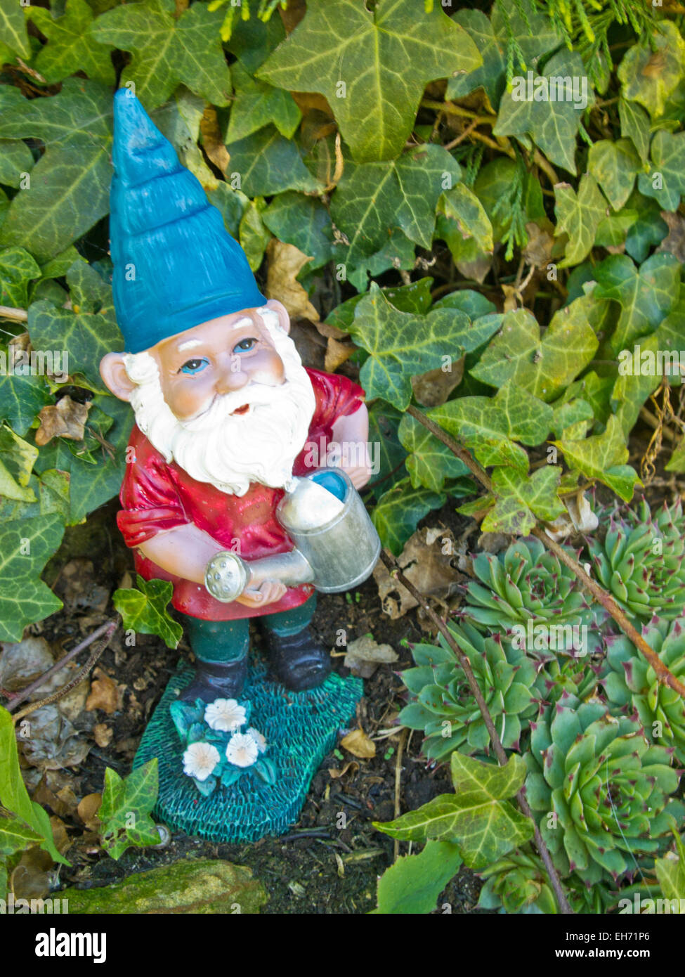 Gartenzwerg nachschlagen Stockfoto
