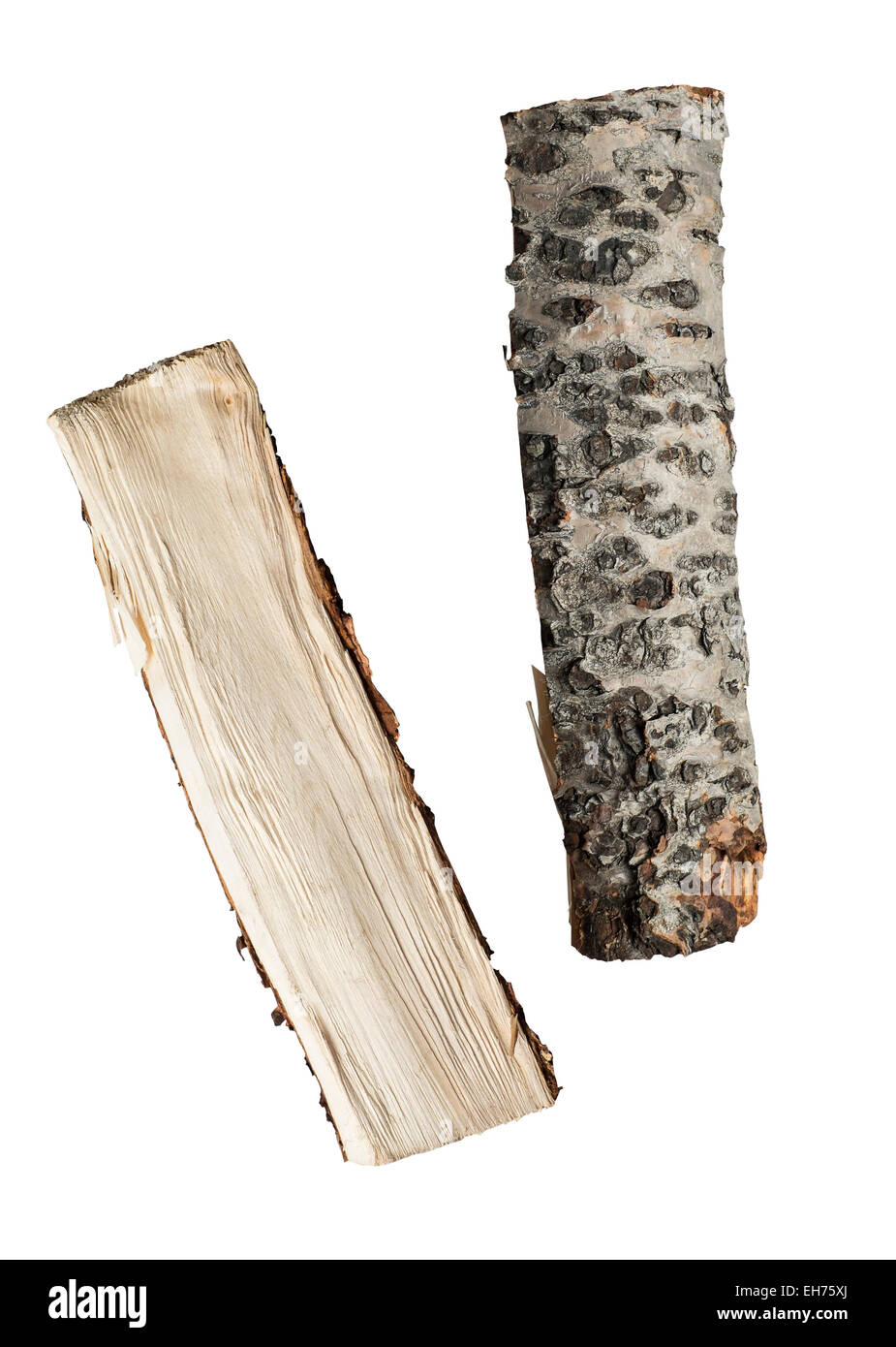 Zerhackt Holz isoliert im studio Stockfoto