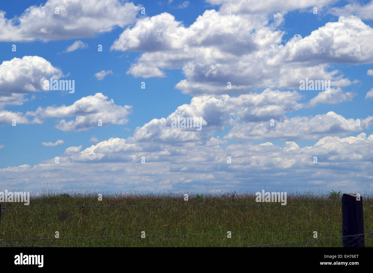 Wolken und einer Koppel Stockfoto