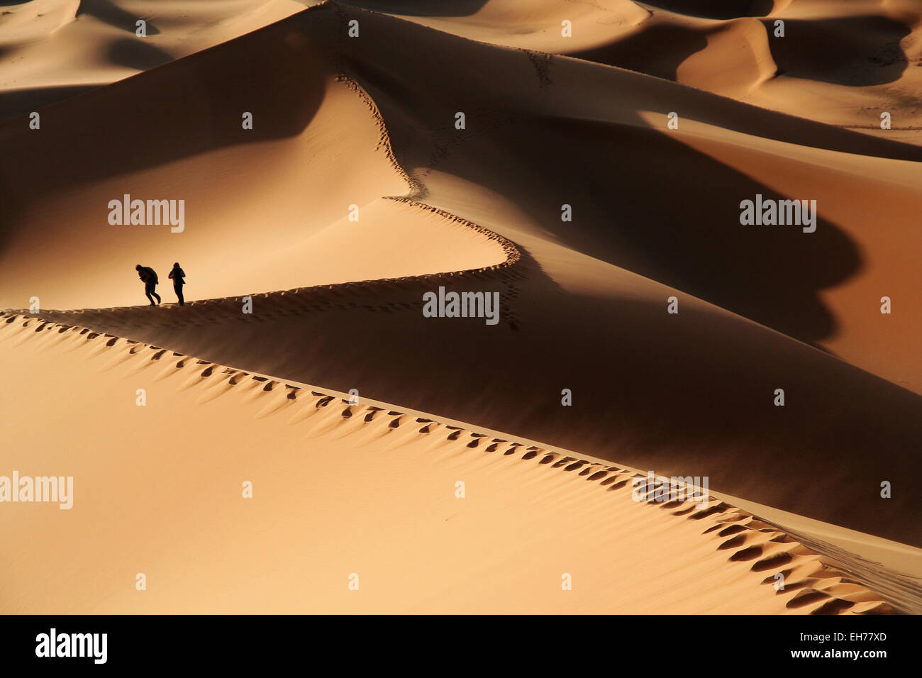 Wüste Sahara Stockfoto
